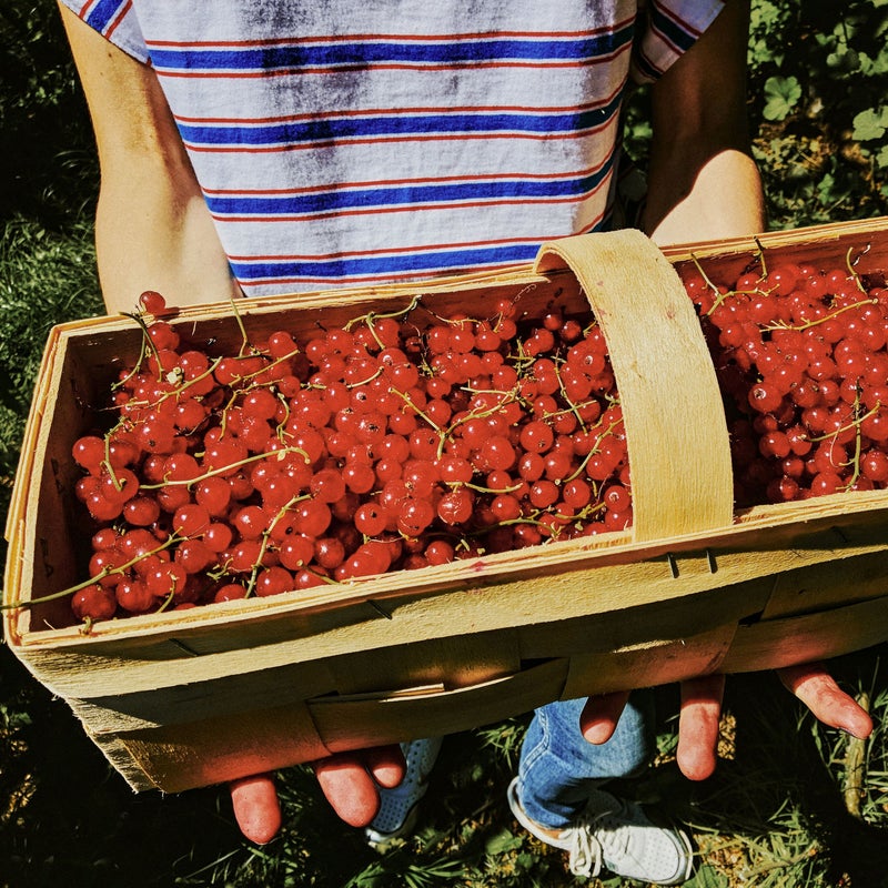 Frutas del huerto