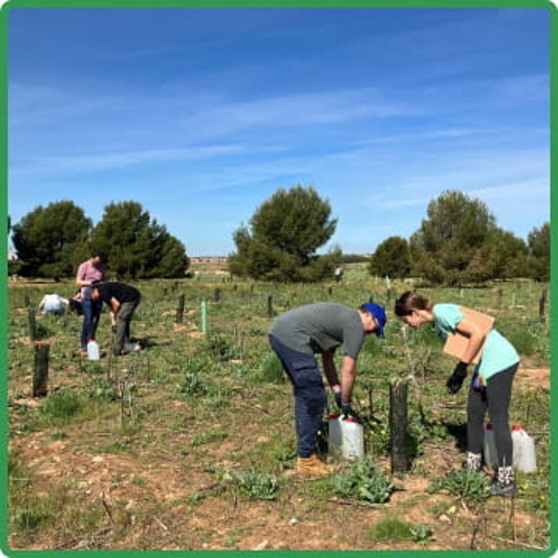 Personas en el campo plantando árboles