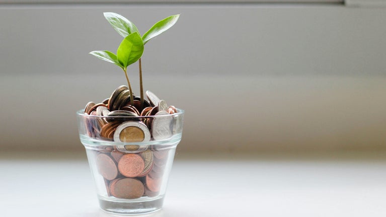 Planta creciendo entre dinero
