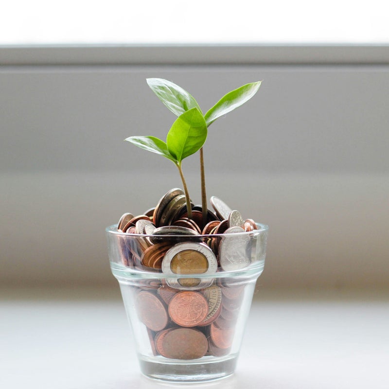 Planta creciendo en una maceta con monedas