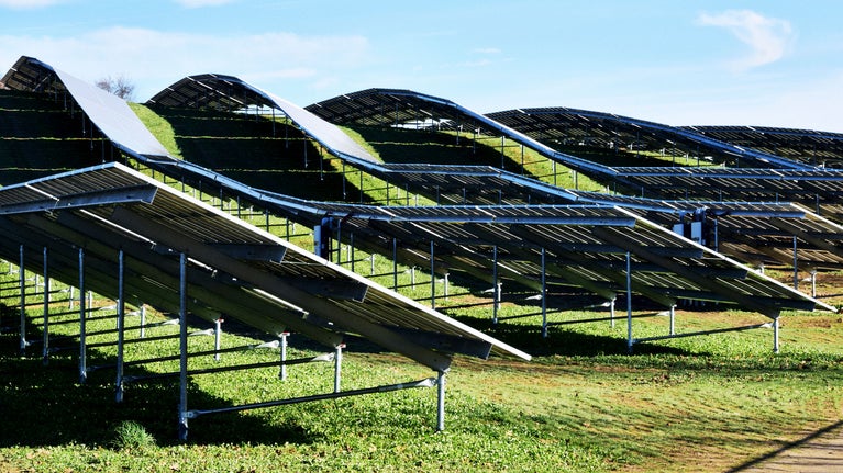 Campo con placas solares