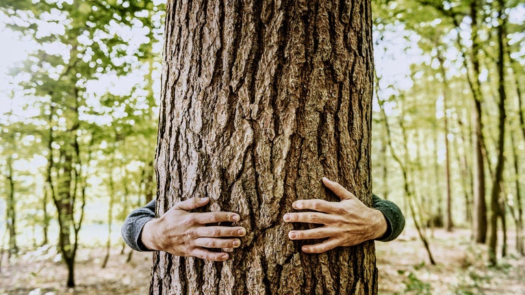 Abrazando un árbol