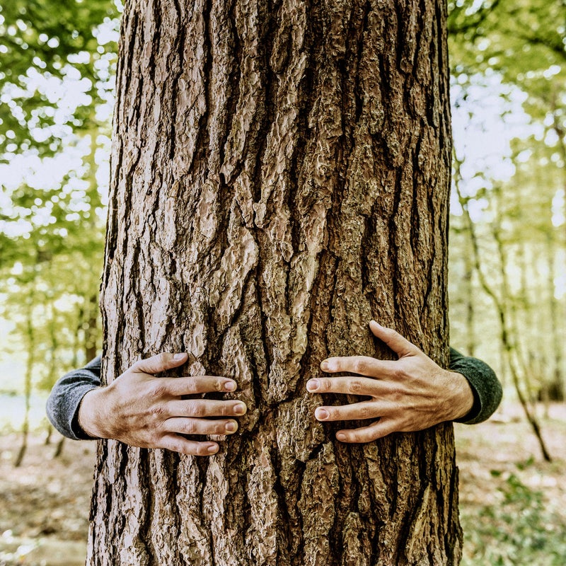 hombre abrazando un árbol