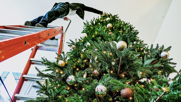 Hombre en escalera decorando árbol navideño