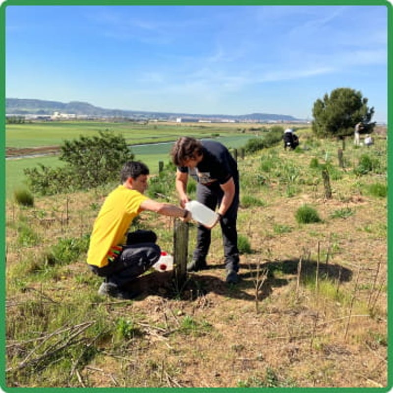 Dos chicos regando plantas en el campo
