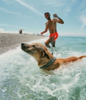 Chico en el mar con un perro